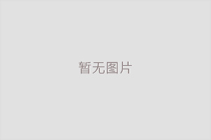 公司簡(jiǎn)介